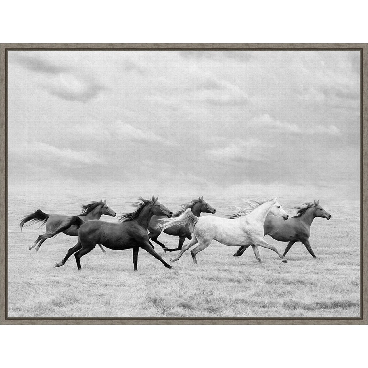 Horse Run I by PHBurchett 24-in. W x 18-in. H. Canvas Wall Art Print Framed in Grey